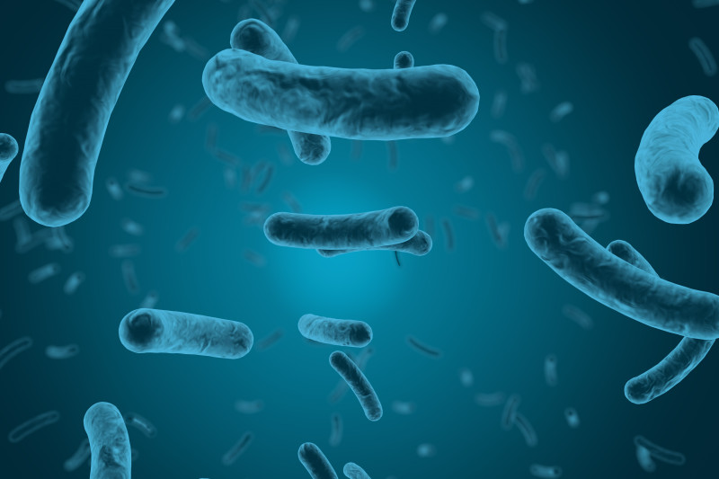 Imagem de Diagnóstico | Exames Anatomopatológicos 