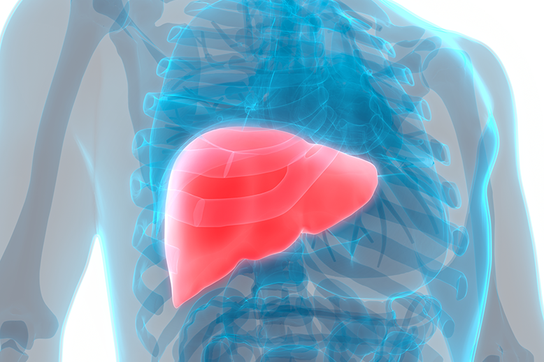 Imagem de Biópsia Hepática