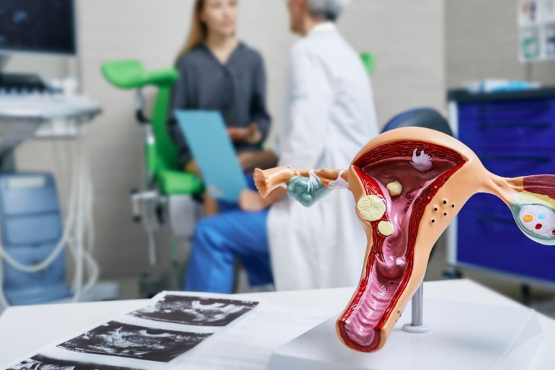 imagem da publicação de O que muitas mulheres descobrem tarde demais