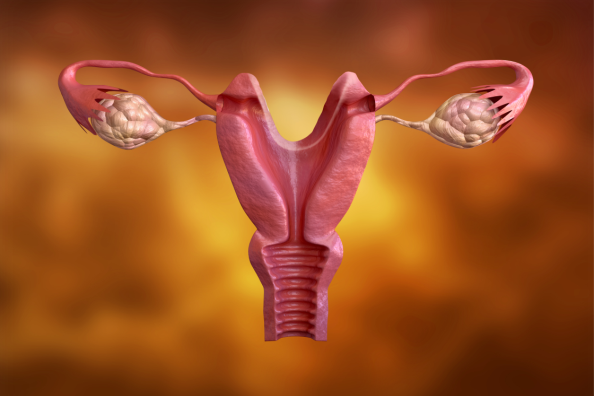 Imagem de Câncer de Ovário: Um dos Mais Letais