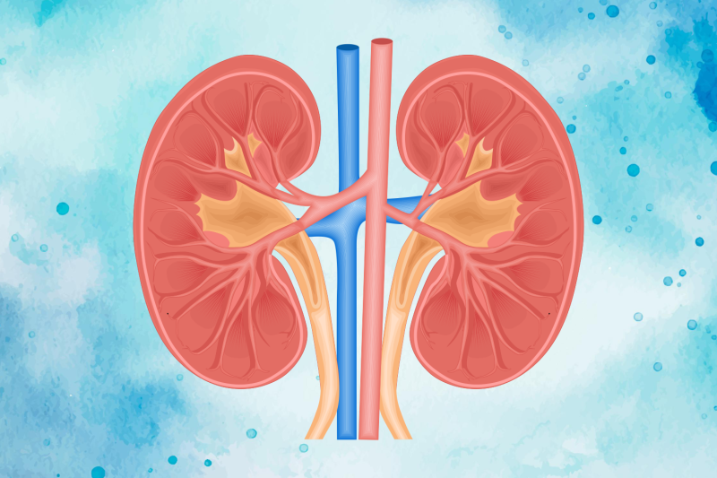 Imagem de Câncer de Rim | Sintomas e Diagnóstico