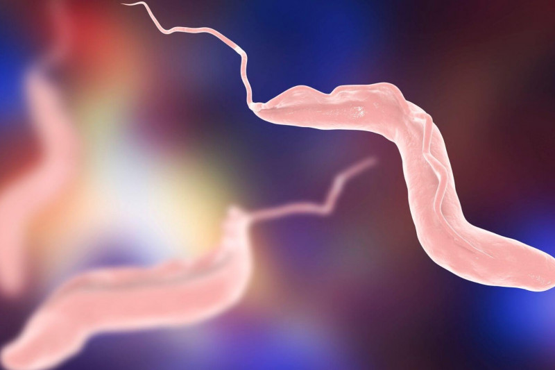 Imagem de Doença de Chagas