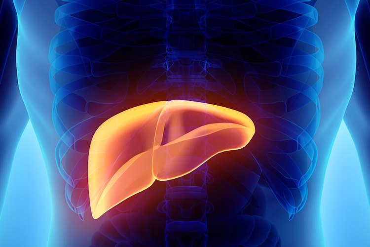 Imagem de Doença Hepática Alcoólica