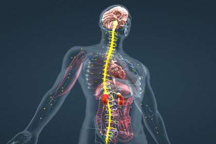 Imagem de Patologia do Sistema Endócrino