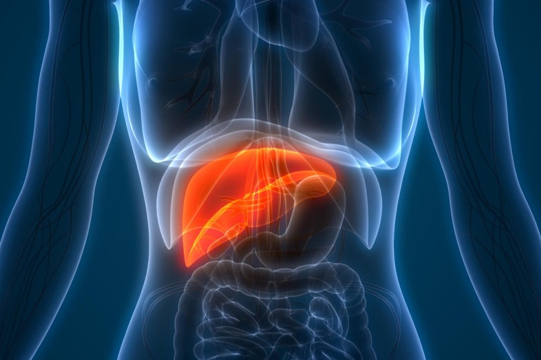 Imagem de Hepatites Virais