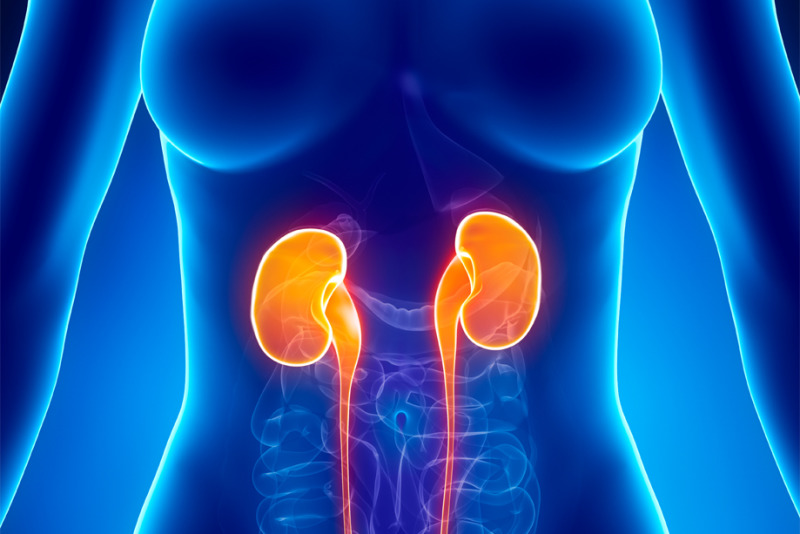 Imagem de Insuficiência Renal