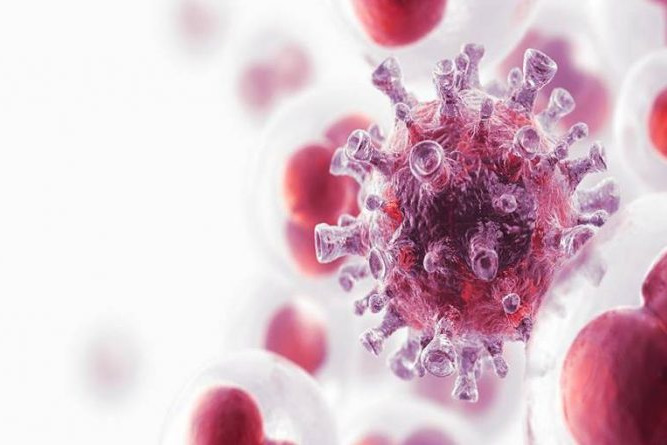 Imagem de Saiba quais são os sintomas da Leucemia