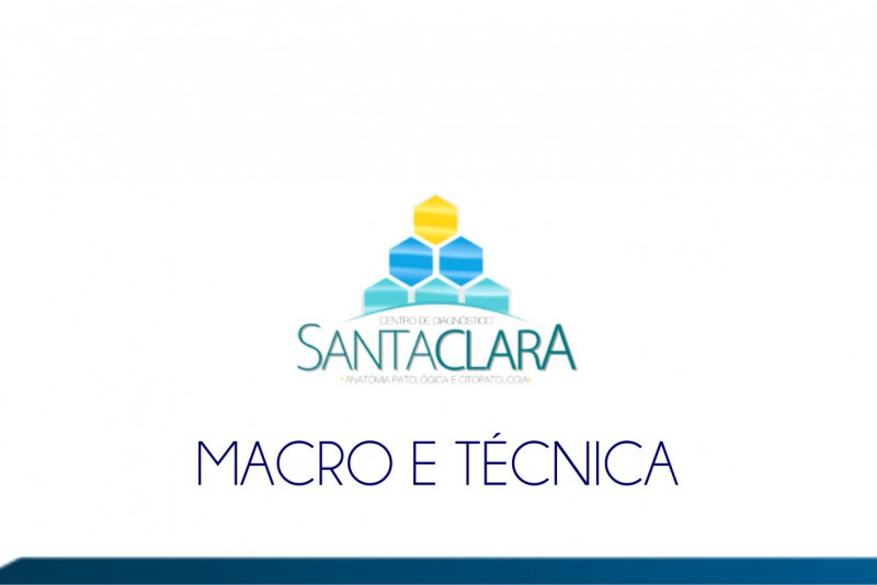 Imagem de Laboratório Santa Clara | MACRO E TÉCNICA