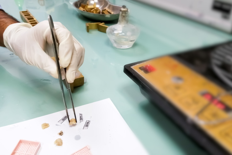 Imagem de Macroscopia | Tecnologia