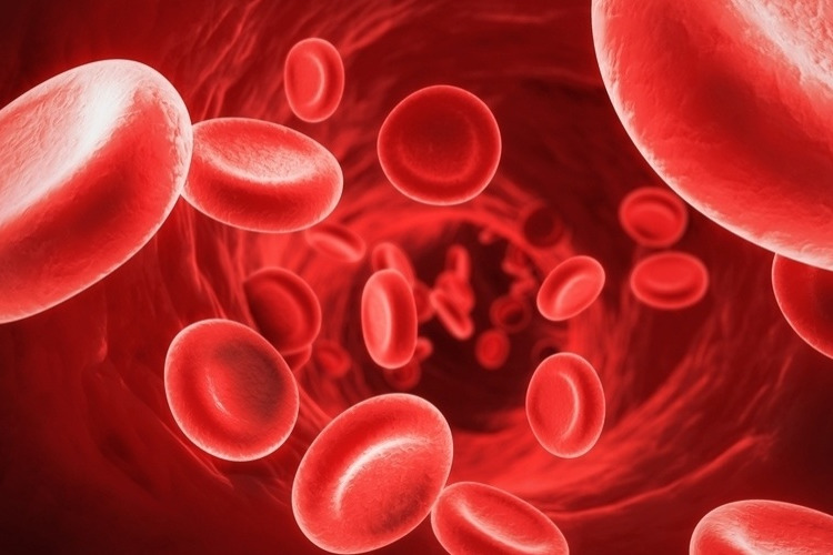 Imagem de MEDULA ÓSSEA | Sua Doação Pode Salvar Vidas