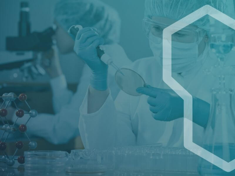 Imagem de NOSSOS EXAMES