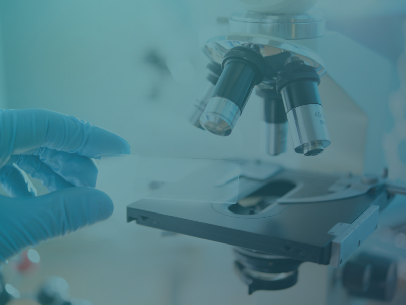 Imagem de NOSSOS EXAMES