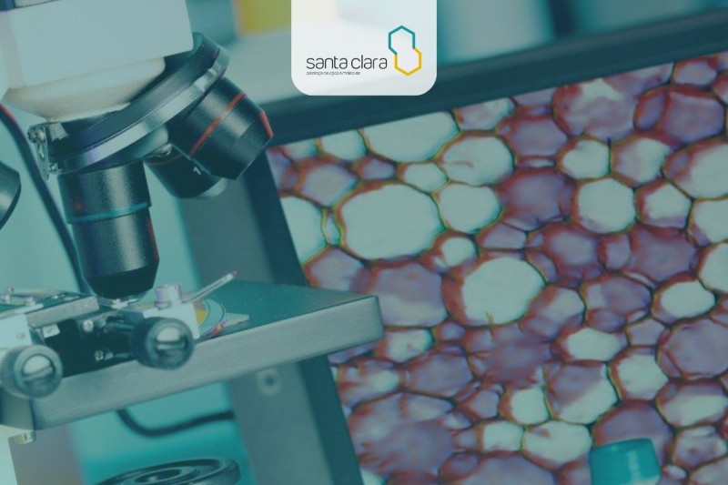 Imagem de Citologia oncótica de líquidos cavitários e escarro