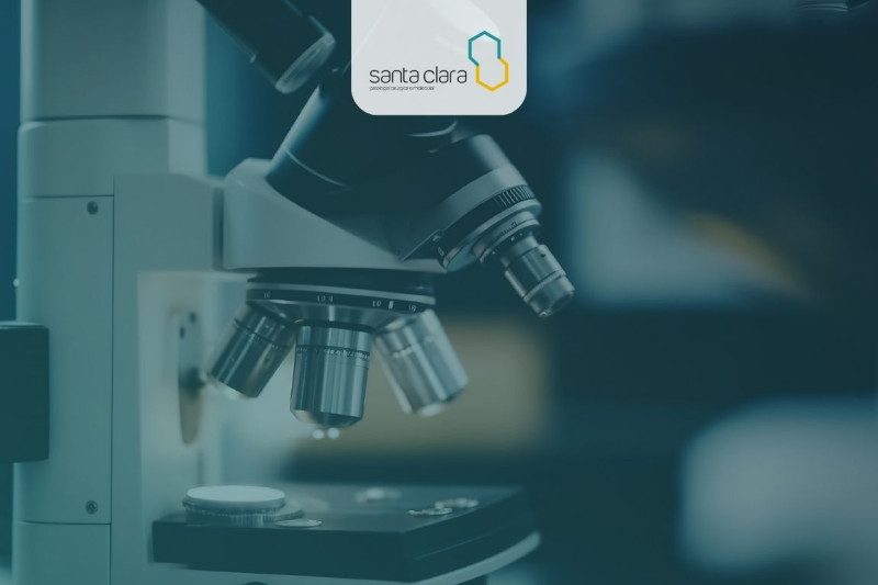 Imagem de Microscopia Óptica